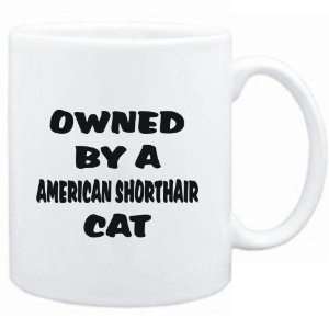    Mug White  OWNED by s American Shorthair  Cats