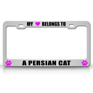 MY HEART BELONGS TO A PERSIAN Cat Pet Steel Metal Auto License Plate 