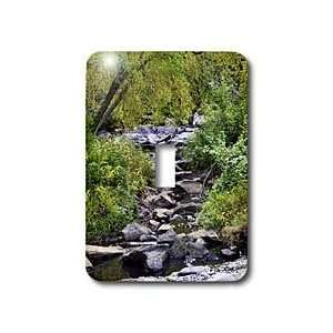   Scenes   Picture of a Creek   Light Switch Covers   single toggle