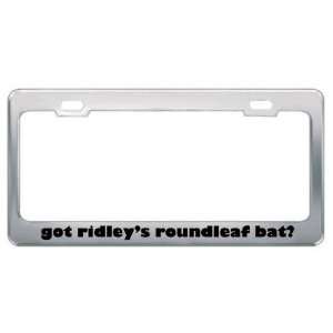 Got RidleyS Roundleaf Bat? Animals Pets Metal License Plate Frame 