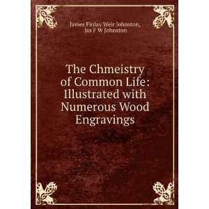   Wood Engravings Jas F W Johnston James Finlay Weir Johnston Books