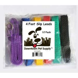  12 Pack Animal Control Kennel Slip Leads 4 L x 1/2 W, by 