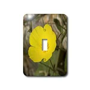   State Park, California   Light Switch Covers   single toggle switch