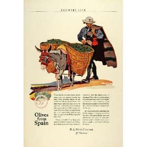 1923 Ad H J Co Heinz Olives Spain Seville Donkey Olive Oil Food Edward 