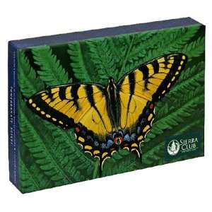  Pomegranate Sierra Club Butterflies Standard Boxed Note 
