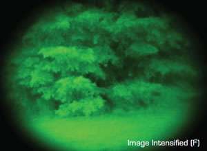 Image intensified night vision scopes can’t help you see things that 