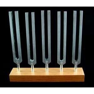  5 Piece Brain Tuners Set   Aluminum Body Tuning Forks 