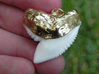 Gold Plated Modern Tiger shark tooth 100% REAL KILLER  