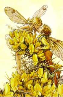 This auction is for three identical Cicely Mary Barker Flower Fairies 
