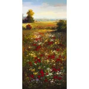 Arcobaleno 24W by 48H  Wildflower Meadow II CANVAS Edge #1 3/4 
