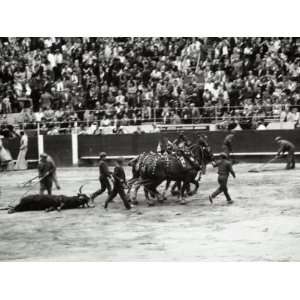  Men Descend into the Arena to Carry Away the Murdered Bull 