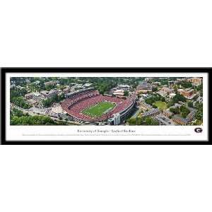  University of Georgia Panaramic Framed Print