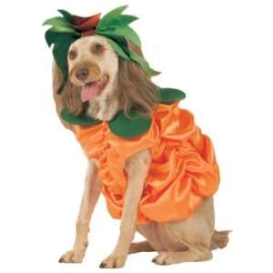 Pumpkin Patch Pooch Costume (Size Med)