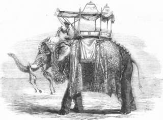 ELEPHANTS Elephant with State Howdah, Vadodara, 1857  