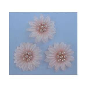  40pc Peach Beaded Daisy Flowers Appliques AS58 Arts, Crafts & Sewing