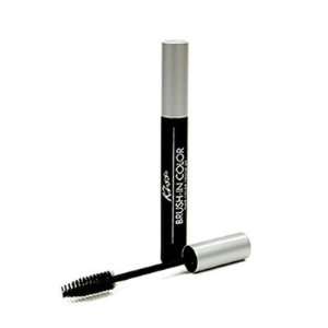   Quick Cover Brush in Color Touch up [ Jet Black ] [Pack of 2] Beauty
