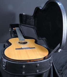 Taylor NS24ce NS24 ce Nylon Electric Acoustic Guitar  