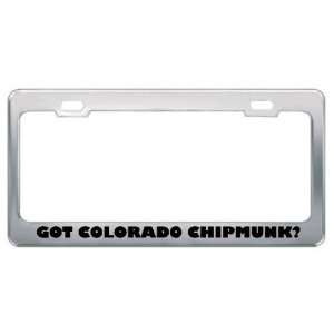 Got Colorado Chipmunk? Animals Pets Metal License Plate Frame Holder 