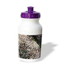  WhiteOak Photography Animal Prints   Lighter colored 