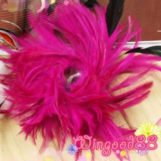 package included 1pcs feather brooch pin hair clip ha010 