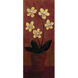  Orchid Panel II Lisa Ven Vertloh. 8.00 inches by 20.00 