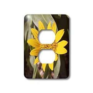   County, California   Light Switch Covers   2 plug outlet cover