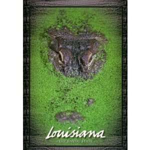  Louisiana Postcard 13205 Gator Case Pack 750 Everything 