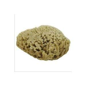  Natural Sea Sponge Medium