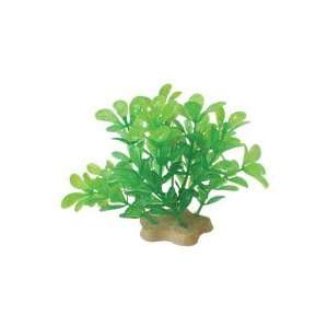  Natural Elements Bacopa   Cluster   4 5 in.