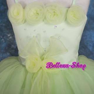 Green Wedding Flower Girl Pageant Party Dress Sz 3T 4T  