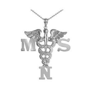 NursingPin   MSN Masters of Science in Nursing Charm with Necklace in 