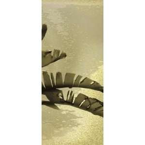 Palm Fronds   Tryp Right Poster Print