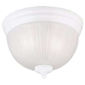  6730800 Westinghouse lighting