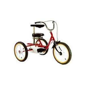  Size 2 Adaptive Trike Toys & Games