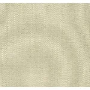  2507 Bartlett in Putty by Pindler Fabric