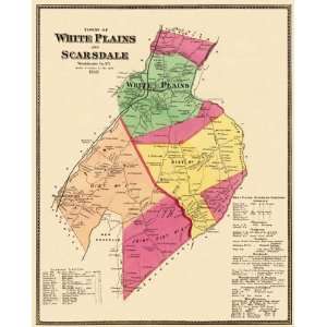   PLAINS & SCARSDALE NEW YORK (NY) LANDOWNER MAP 1868