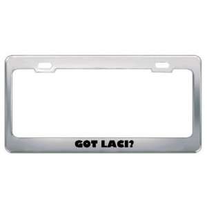  Got Laci? Girl Name Metal License Plate Frame Holder 