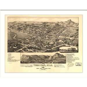  Historic Trinidad, Colorado, c. 1882 (M) Panoramic Map 