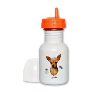  Sippy Cup Orange Lid Chihuahua from Toy Group and Mexico 