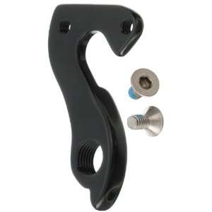  2011 Pinarello Derailleur Hanger