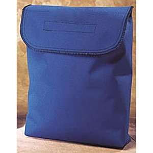  LAB SAFETY SUPPLY 16936B Respirator Bag,11x8x3 In,Blue 