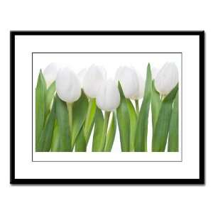  Large Framed Print White Tulips Spring 