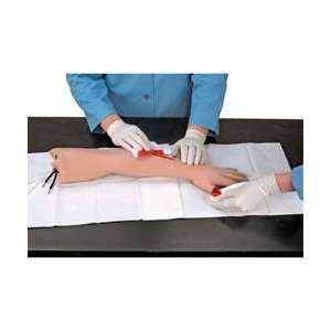 Nasco   Life/Form® First Aid Arm  Industrial & Scientific