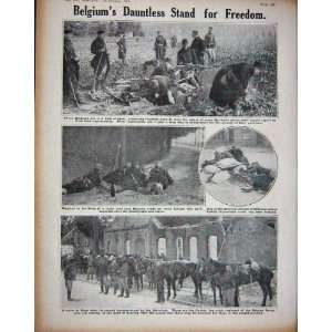   1914 WW1 French Soldiers Horse Belgians Malines Uhlans