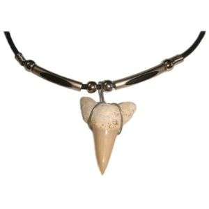 XXL Shark Tooth Pendant Hawaiian Necklace   RARE  