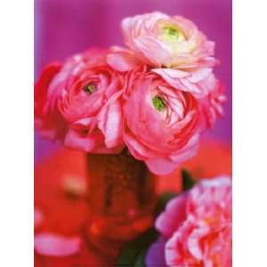  Pink Bouquet by Bergdahl Pernilla 12x16