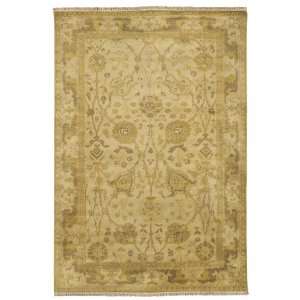  Antolya Area Rug $50 $3820 Surya Ant9703