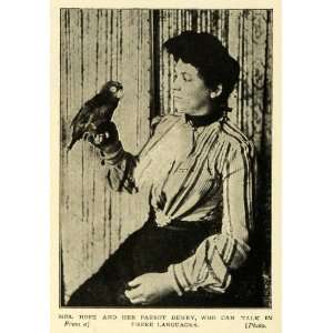  1903 Print Mrs Hope Talking Trilingual Parrot Dewey Bird 