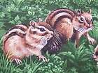 Fabri Quilt Backyard Bandits Chipmunk Animal Fabric   26