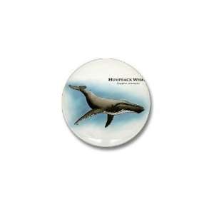  Humpback Whale Illustration Mini Button by  